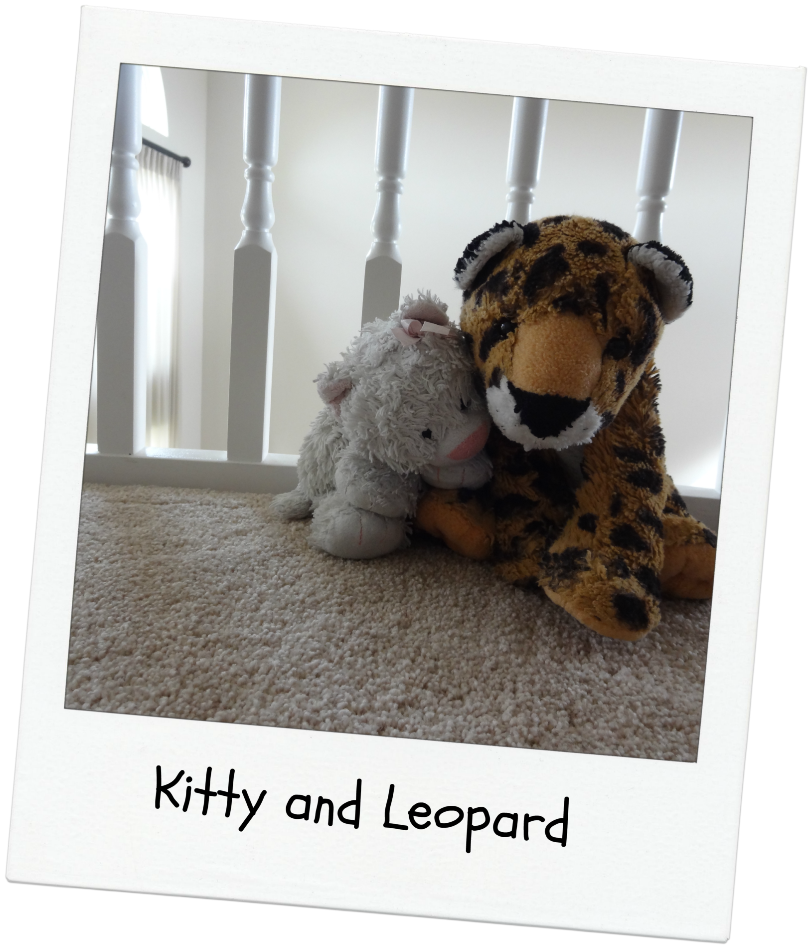 kittyleopard